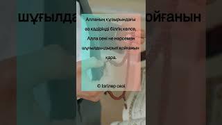 #аудиокітап#аудиокнига#rek#кітап#книги#иман#ислам#рек#рекомендации#дін#даму#насихат#намаз#мұсылман