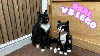 Lego Tuxedo Cat VS Real Tuxedo Cat