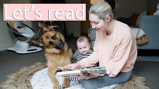 German Shepherd & baby read books together