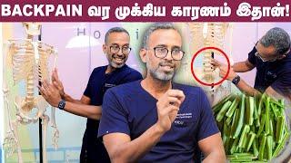 இந்த Plant சாப்பிட்டா Knee & Back Pain சரியாகுமா? - Dr Santhosh Jacob Explains | எலும்பு தேய்மானம்