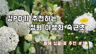 봄에 심을 야생화 추천드려요~     /정원/조경/