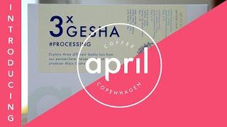 F.C.J Volcan Azul 3x Gesha #Processing - Limited Box with Alejo Castro | Coffee with April #189