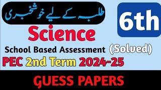 SBA Class 6 Science Paper 2nd Term 2024 | Class 6 Paper Science 2nd Term 2024 | 2nd Term Papers 2024