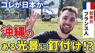 「沖縄で来日を実感...」初来日のフランス人が沖縄のある光景に思わず釘付け！【外国人インタビュー】