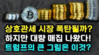 비트코인 리플 "상호 관세 발표로 추가 조정 받을까?" 스트래티지는 대량 매집 고래와 장기보유자도 매집 장기 방향성은? 이더리움 솔라나 수이 도지코인