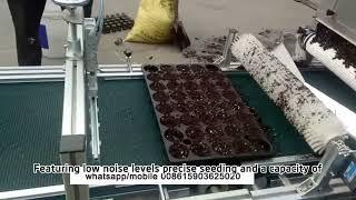 Tray Vegetable Seeder Machine Vegetable Seeding Nursery Line seeding sowing machine