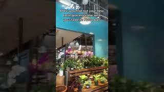 NuGo Nutrition at Barons Market in San Diego!