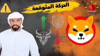 عملة شيبا Shiba inu coin متى ينتهي الهبوط لتصعد العملة لو مهتم تابع الفيديو -- 13/01/2025