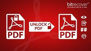 How to Remove PDF Password & Unlock PDF for Printing - BitRecover Unlock PDF