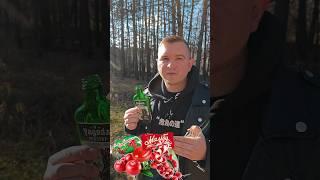 ЭТО НЕ АНАЛОГ ЕГЕРМЕЙСТЕРА! ЭТО ЯГОДА МЕЙСТЕР