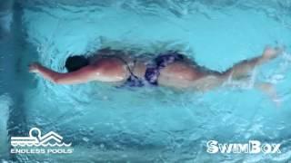 Stability Swim Drill - 3 Strokes Freestyle/2 Backstroke: Professional Swim Coaching - Ep. 2