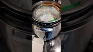 instant pot germinating hack for hot weather crops