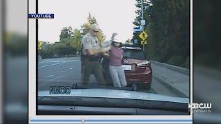 Santa Clara County Jury Sides With Woman Slammed Against Car By Deputies