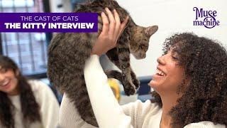 The Cast of Muse Machine's CATS: The Kitty Interview