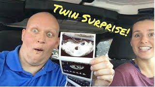 Twin Surprise Pregnancy Reveal