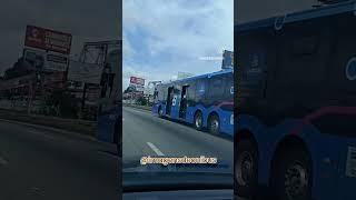 CHEGADA DOS 56 ONIBUS DO BRT EM SALVADOR, VEJA