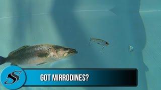 How to Fish With a MirrOdine Suspending Twitchbait