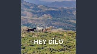 Hey Dilo (Kurdish Remix)