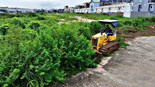 Wonderful Perfectly Project, Land Clearing Brush and Forest Using KOMATSU D20P Dozer Pushing Forest