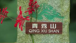 Journey to Guangxi EP 05 - The beauty of Nanning