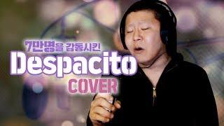 Luis Fonsi - Despacito(cover by 삐약) 원곡보다 더 잘부르는 40대 아재 등장!!!