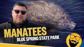 8 Things You Should Know Before Visiting the Manatees at Blue Spring State Park
