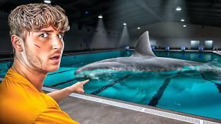 SWIMMING In A SHARK INFESTED POOL.. (Full Game)