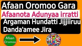 Afaan Oromo Gara Afaan Barbaannetti jijjiiruu Kara Ittiin Dandenyu || All language Translator