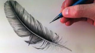 How to Draw a Feather