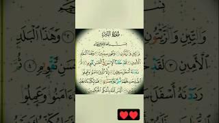 SURAH At-Teen#shorts #quran#tilawat#viral#edit  #trending#beautiful #youtubeshorts#youtube