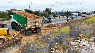 Amazing project landfill!! Excellent Dump trucks and Bulldozer filling land in action