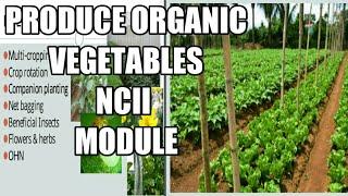 OF| Produce Organic Vegetables NCII module