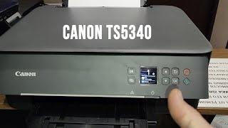 Canon TS5340 самостоятельное обслуживание и ремонт принтер не печатает или печатает с полосами