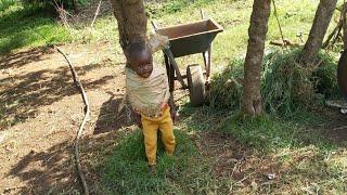 Everyday's struggle of a poor village mother and son, followed by difficulties and hardships