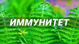 Иммунная система. Усиление иммунитета. Скрытые аффирмации. Саблиминал.