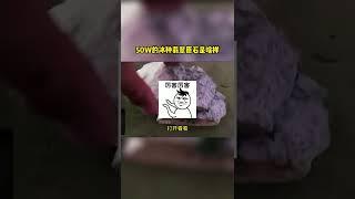 50W的冰种翡翠原石是啥样#原石毛料#翡翠原石#冰种翡翠 3xskxrds4qhhzau