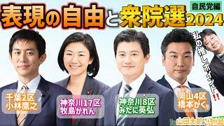 【第599.5回】表現の自由と衆院選2024《自民党編》(2024/10/16) #山田太郎のさんちゃんねる