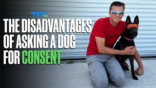 The Disadvantages of Asking Dogs for Consent: A Training Without Conflict® Podcast