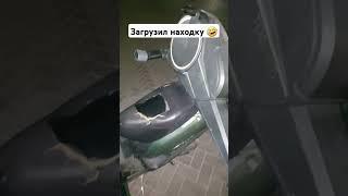Загрузил находку в мопед и поехал без страховки  #какязарабатываю #dumpsterdiving #мусорки