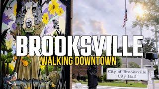 Small Towns: Exploring Brooksville, Florida's Main Street