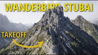 WANDERBIRD STUBAI