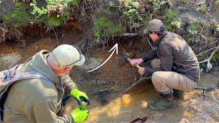 Flood Reveals Arrowhead and Bulldozer Exposes Dirt Full of Treasure