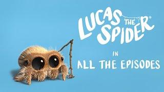 Lucas the Spider LIVE!  Every Episode Streamed 24/7