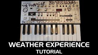 The Prodigy - Weather Experience On Liam Howlett's TB-03