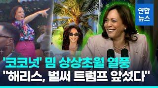 "코코넛 나무, 하하하!" 해리스 밈 열풍…벌써 '트럼프 앞섰다'/ 연합뉴스 (Yonhapnews)