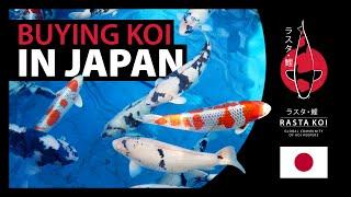 What its like buying koi in Japan?