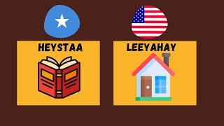 Using Heystaa Vs Leeyahay in Somali? | Have/Has?