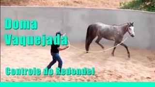 Aprenda a Domar Cavalos de Vaquejada - Controle no Redondel