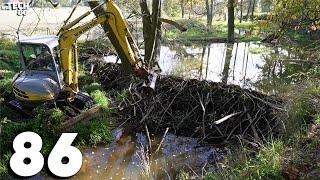 It Was A Really Big Dam - Beaver Dam Removal With An Excavator No.86