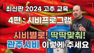 2024최신) 고추 4편 - 고추 비료주는 방법 이렇게만 주시면 정말 고추 성공합니다. | 야라레가 슈퍼FK30 질산칼슘 | 농사 100단